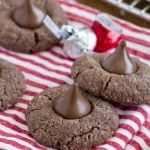 Close up of chocolate cookies