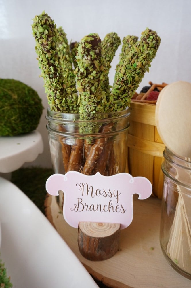 Woodland Fairy Party - Snack Table - Mossy Branches