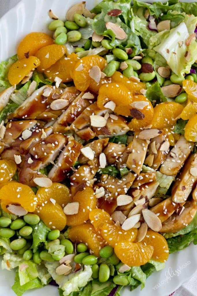 Teriyaki Chicken Salad (Red Robin Copycat) Yellow Bliss Road