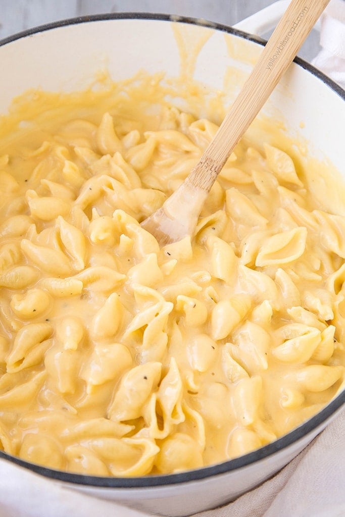 a pot of shell pasta with a creamy cheese sauce