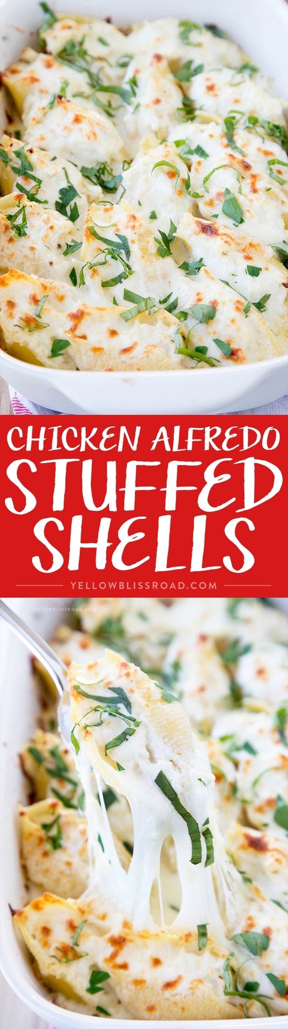 Chicken Alfredo Stuffed Shells - Creamy and Rich Pasta dish with a homemade simple Alfredo sauce, chicken Italian cheeses and Ricotta