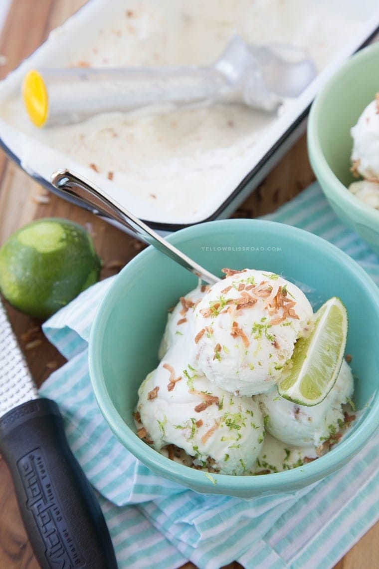 Toasted Coconut No Churn Ice Cream {Yellow Bliss Road}