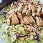 A close up of Asian Chicken Salad