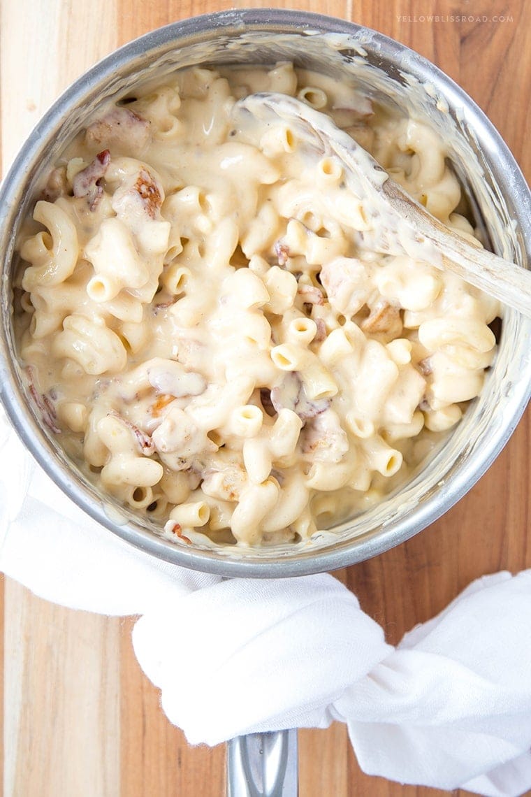 Chicken, Bacon and Blue Macaroni and Cheese - Ultra creamy, rich and flavorful with a 4-cheese sauce and Parmesan breadcrumb topping. The ultimate comfort food!