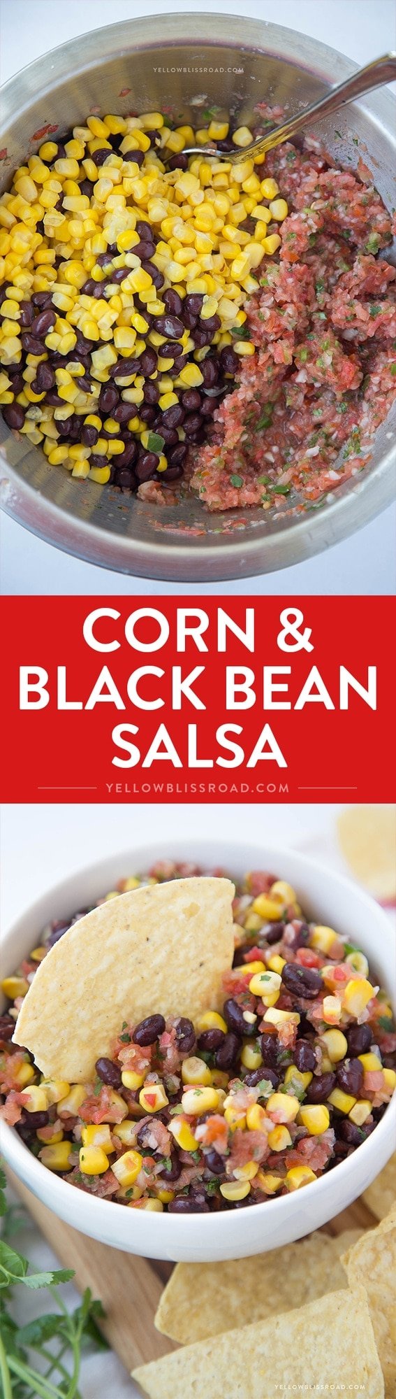 Corn & Black Bean Salsa - easy, fresh salsa with corn and black beans