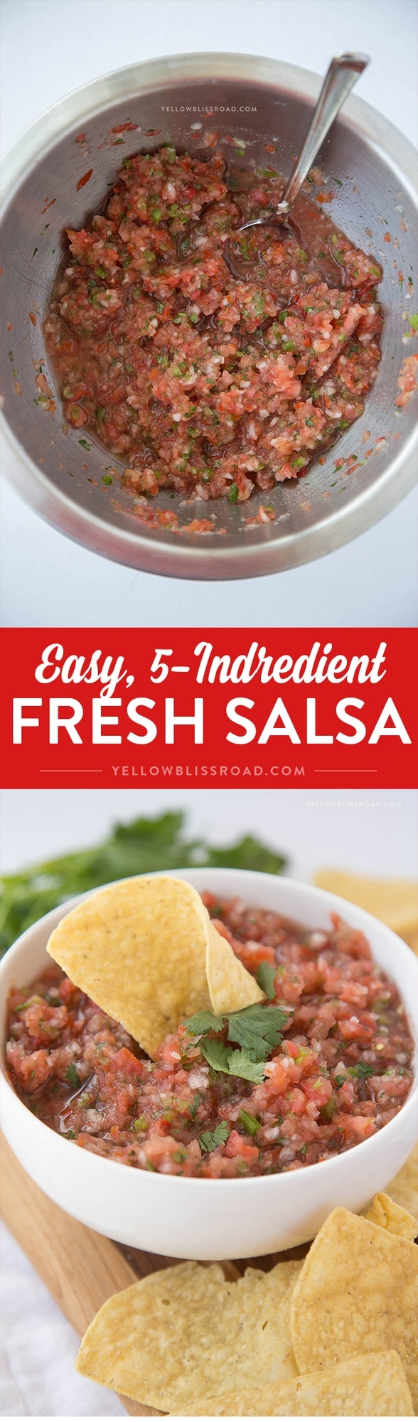 Easy Fresh Salsa - Just 5 ingredients to delicious, fresh salsa at home!