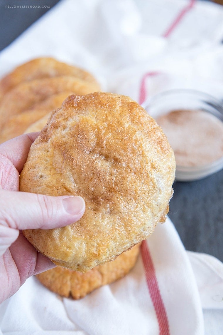 Easy Apple Hand Pies - A yummy fall dessert that everyone will love!