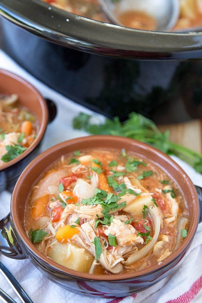 Slow Cooker Chicken Stew - a rich and hearty crockpot meal that is the perfect comfort food for a cold night.