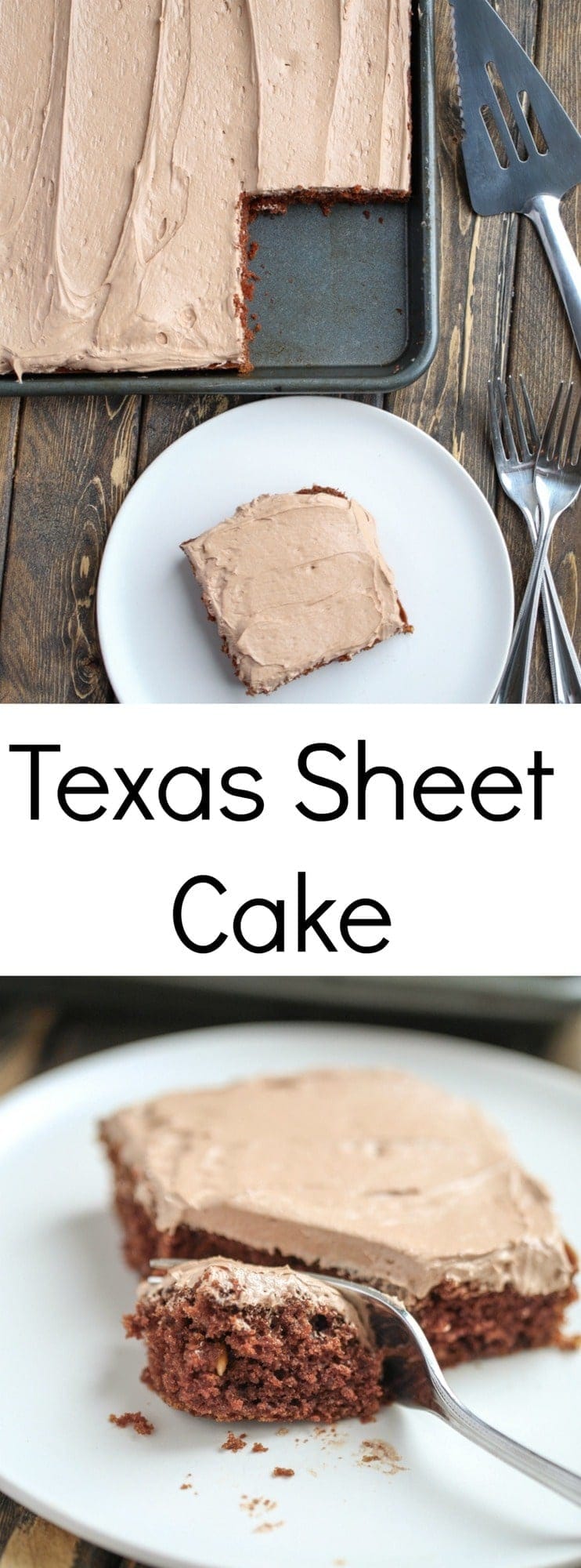 This Texas Sheet Cake is chocolate heaven! It is the perfect cake for a crowd, too.