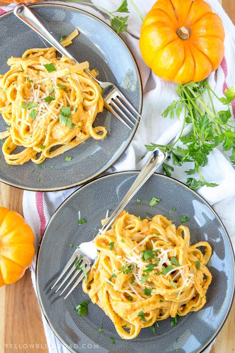 Creamy Pumpkin Alfredo - A perfect fall dinner that's easy enough for a weeknight meal and you'll never miss the cream!