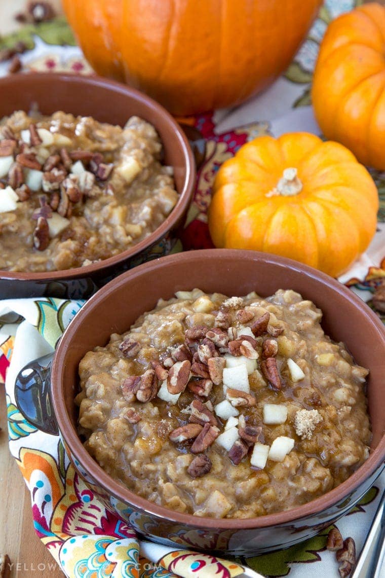 Pumpkin & Apple Oatmeal with pecans, brown sugar and pumpkin pie spice - the perfect fall breakfast for those cold and cozy mornings.