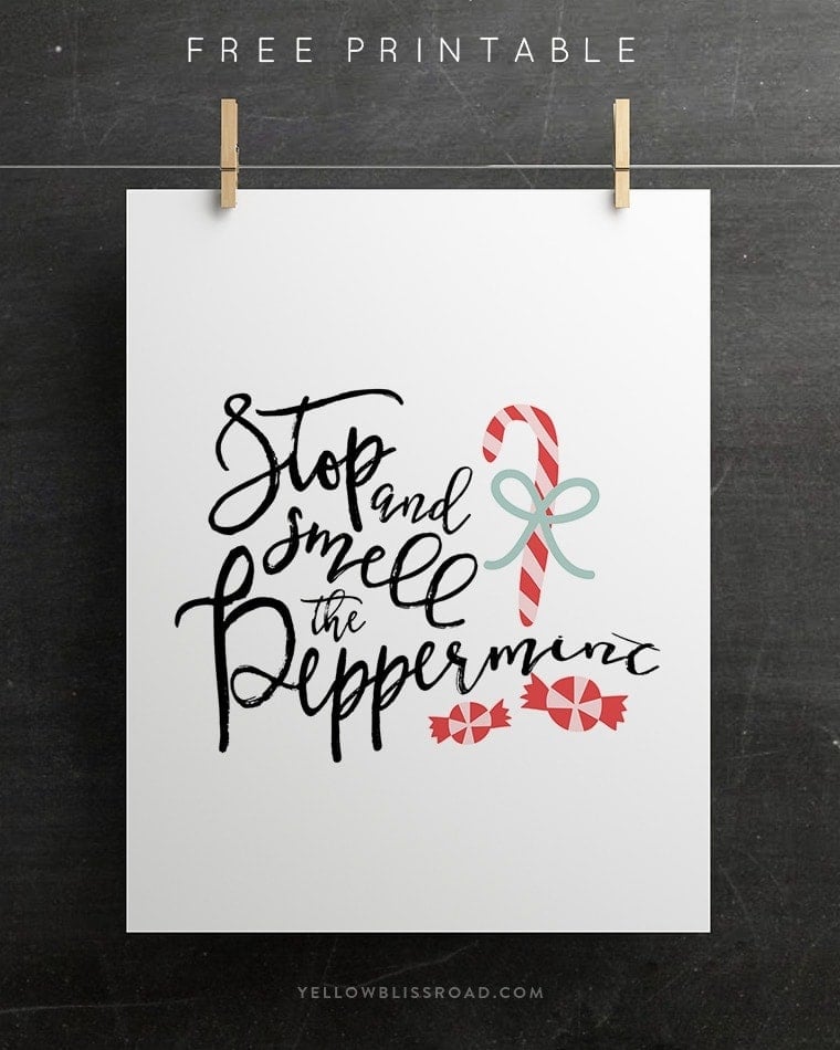 Holidays: Print out this adorable Stop and Smell the Peppermint print for the holidays.  So cute for Christmas!