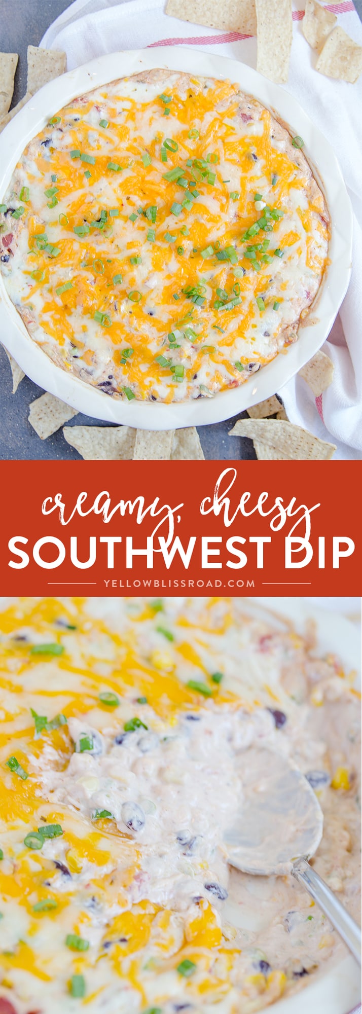 Creamy Cheesy Southwest Dip - a delicious appetizer with lots of spicy cheeses, black beans, corn and spicy tomatoes.