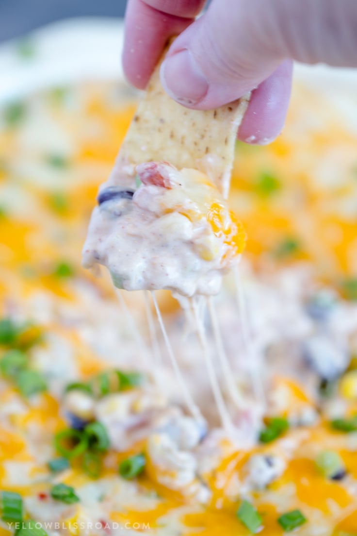 Creamy Cheesy Southwest Dip Yellow Bliss Road