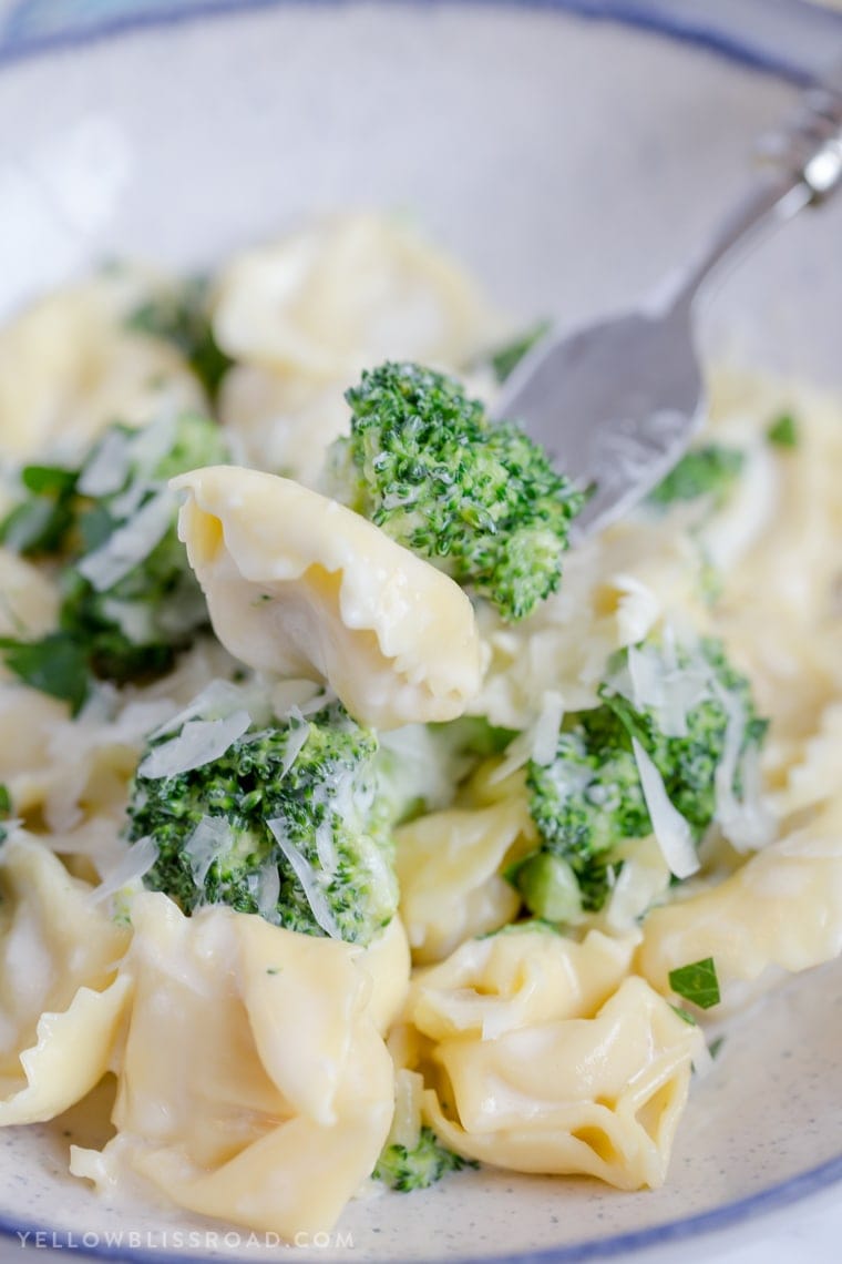 Broccoli Tortellini Alfredo comes together in just 15 minutes - It's great option when you need to get dinner on the table in a hurry.