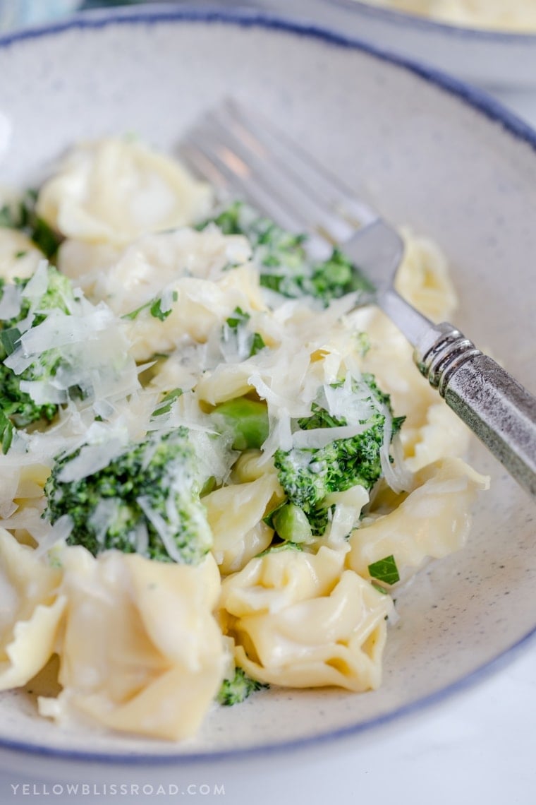 Broccoli Tortellini Alfredo comes together in just 15 minutes - It's great option when you need to get dinner on the table in a hurry.