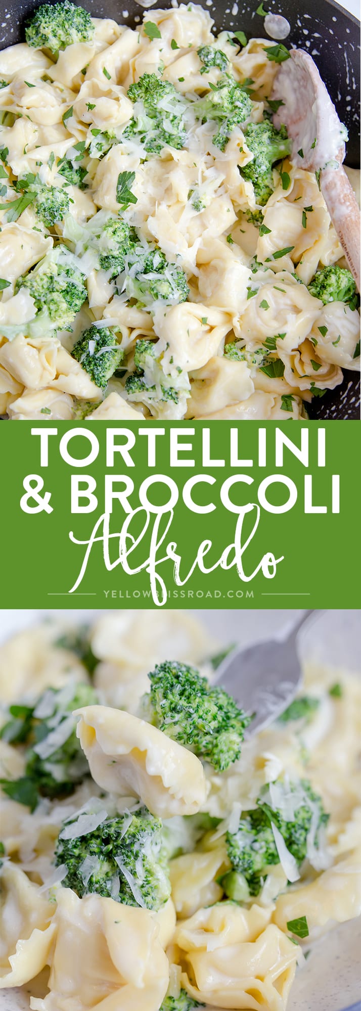 Broccoli Tortellini Alfredo comes together in just 15 minutes - It's great option when you need to get dinner on the table in a hurry.