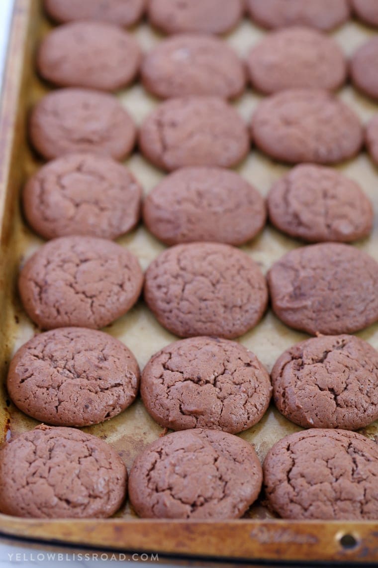 Your new favorite cookie! These Chocolate Cheesecake Cookies are super creamy and tender and melt in your mouth delicious!