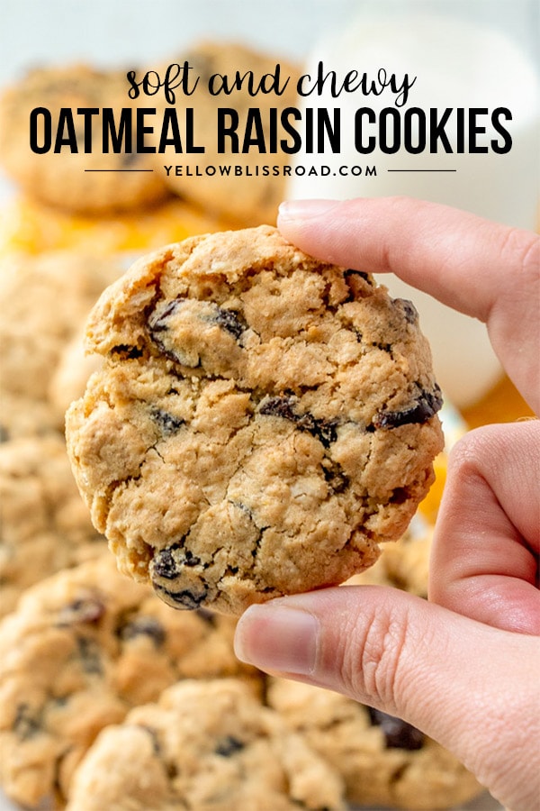 Irish Raisin Cookies R Ed Cipe