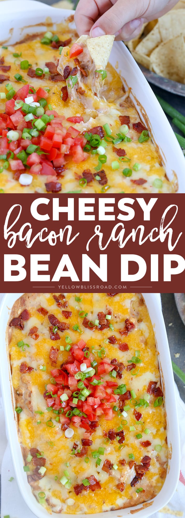 Creamy and intensely flavorful, this Cheddar Bacon Ranch Bean Dip is highly addictive and sure to be your new favorite appetizer and a hit at your next party.