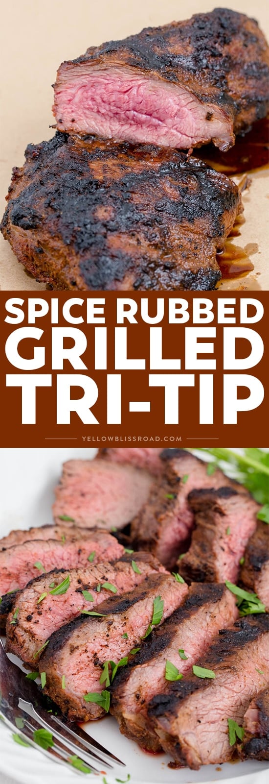 Best Ever Spice Rubbed Grilled Tri Tip Recipe + Tips