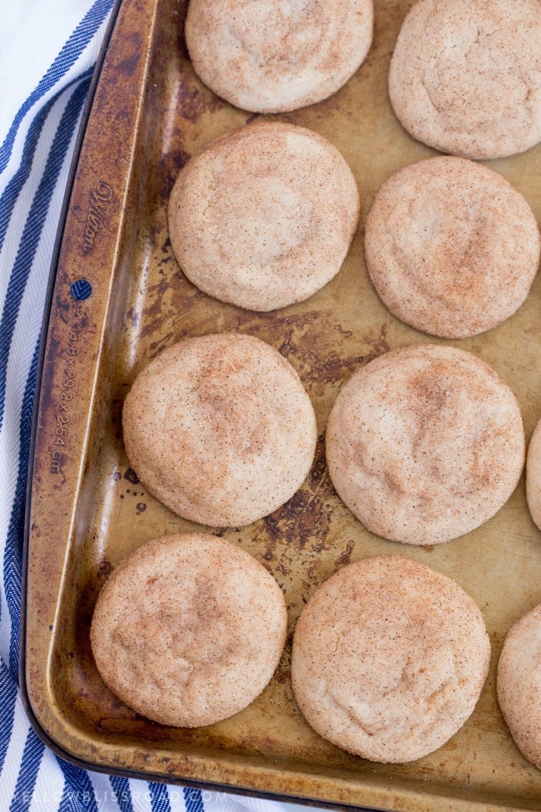 Best Ever Snickerdoodle Cookies are a classic! Tender, soft and chewy a crispy cinnamon sugar coating - this will be your new go-to recipe!