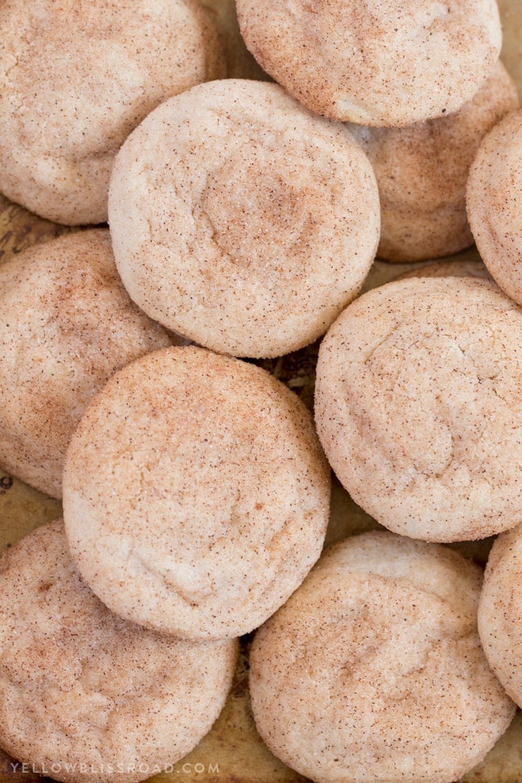 Best Ever Snickerdoodle Cookies are a classic! Tender, soft and chewy a crispy cinnamon sugar coating - this will be your new go-to recipe!