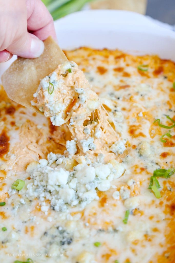 A close up of a chip dipped into Buffalo Chicken Dip