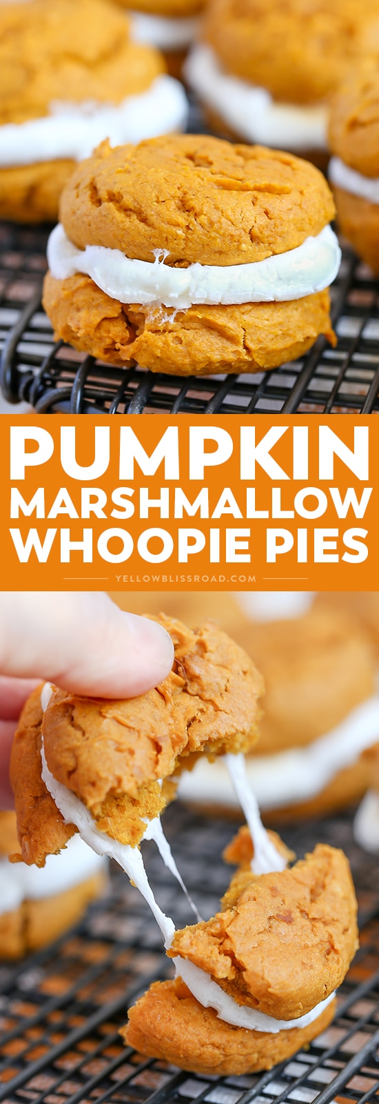 Pumpkin Cookie & Marshmallow Whoopie Pies are a delicious and easy fall dessert - put them at the top of your fall baking list!