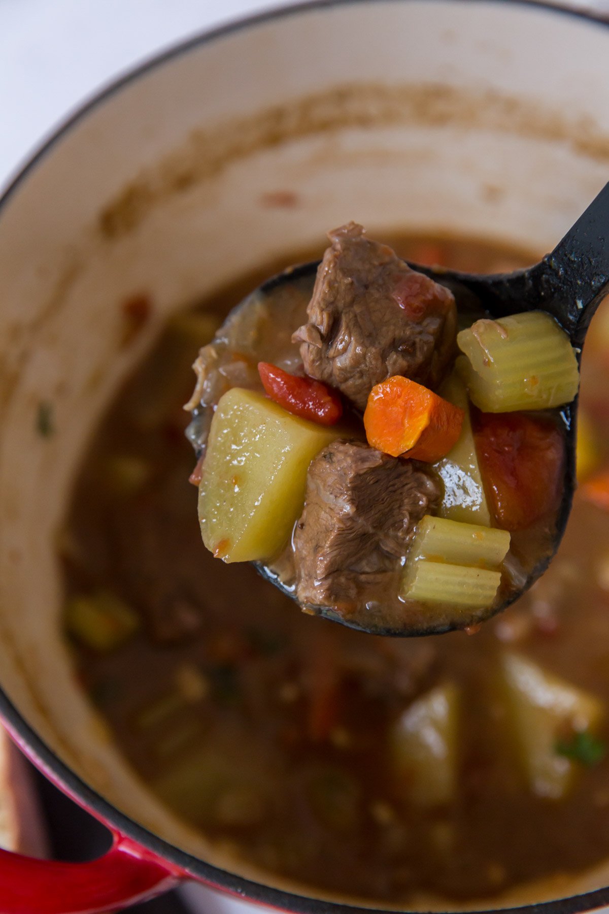 pot, beef stew, ladle