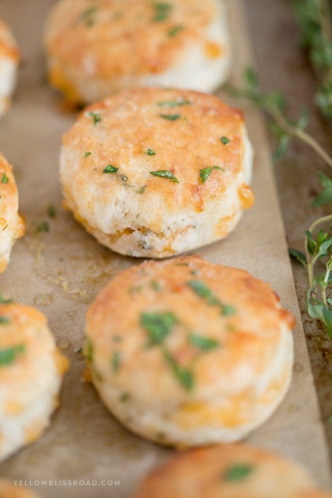 Fresh Homemade Biscuits that are so fluffy and tender biscuit and filled with cheese, garlic and thyme!