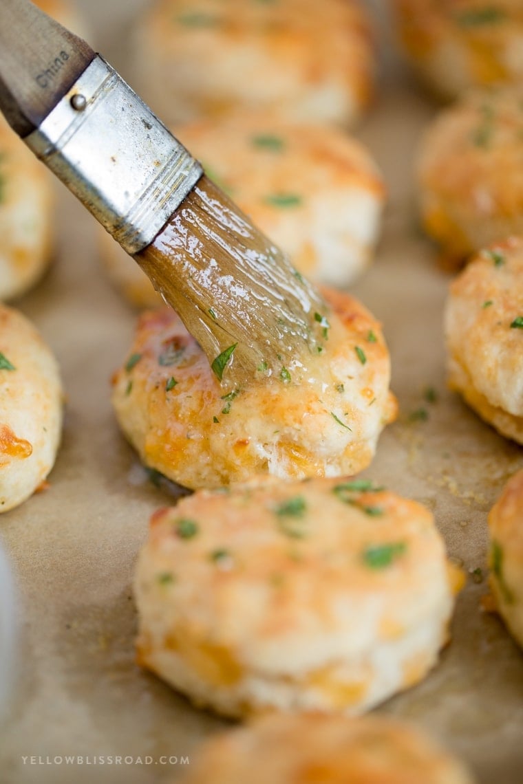 Fresh Homemade Biscuits that are so fluffy and tender biscuit and filled with cheese and thyme and brushed with garlic butter