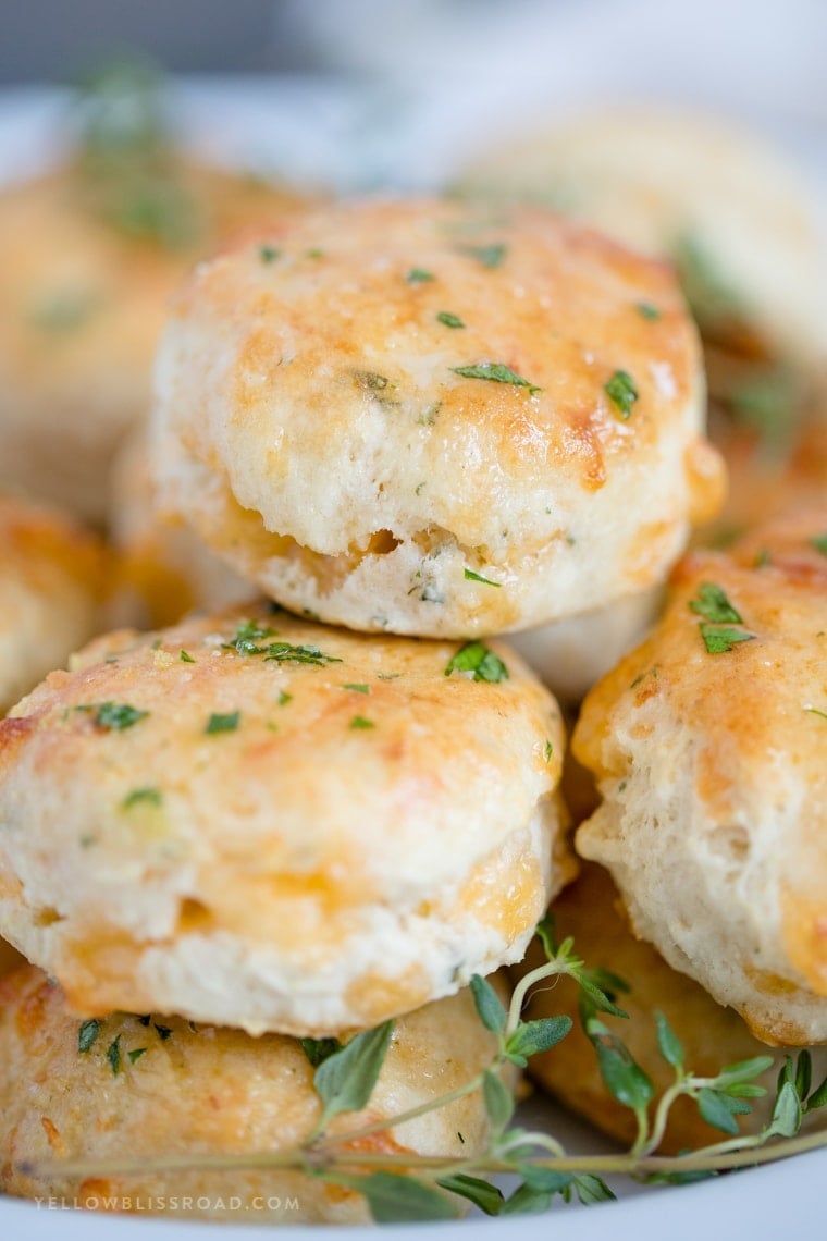 Fresh Homemade Biscuits that are so fluffy and tender biscuit and filled with cheese, garlic and thyme!