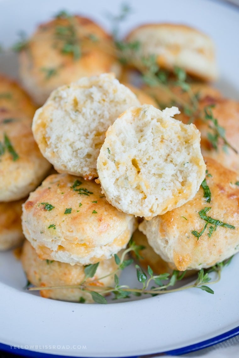 Fresh Homemade Biscuits that are so fluffy and tender biscuit and filled with cheese, garlic and thyme!