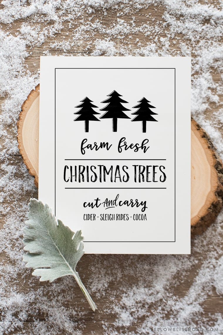 Free printable Christmas sign | Fresh Christmas Trees | Available in chalkboard and white background designs and 2 sizes