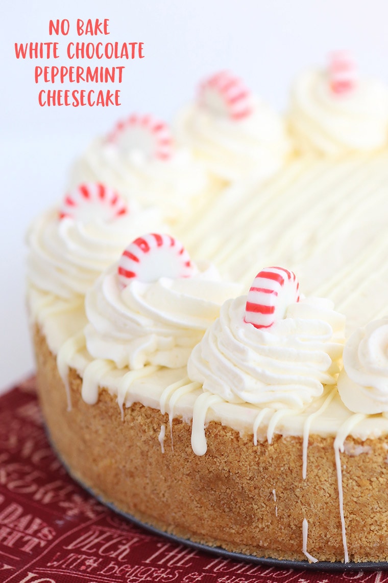 Easy No Bake Cheesecake Recipe filled with white chocolate and peppermint | Christmas dessert 