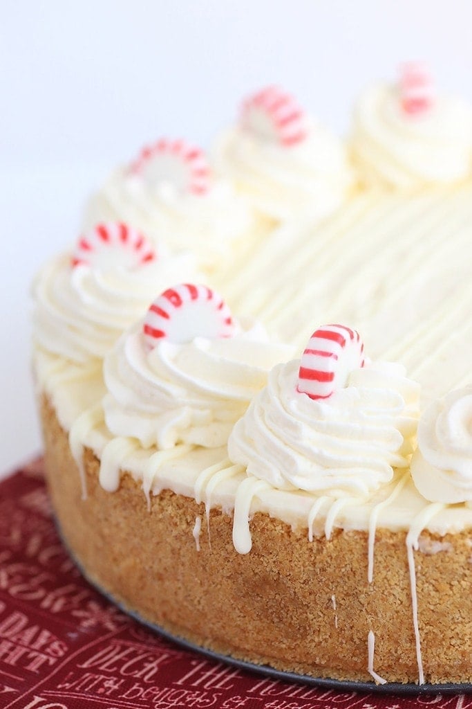 Peppermint cheesecake