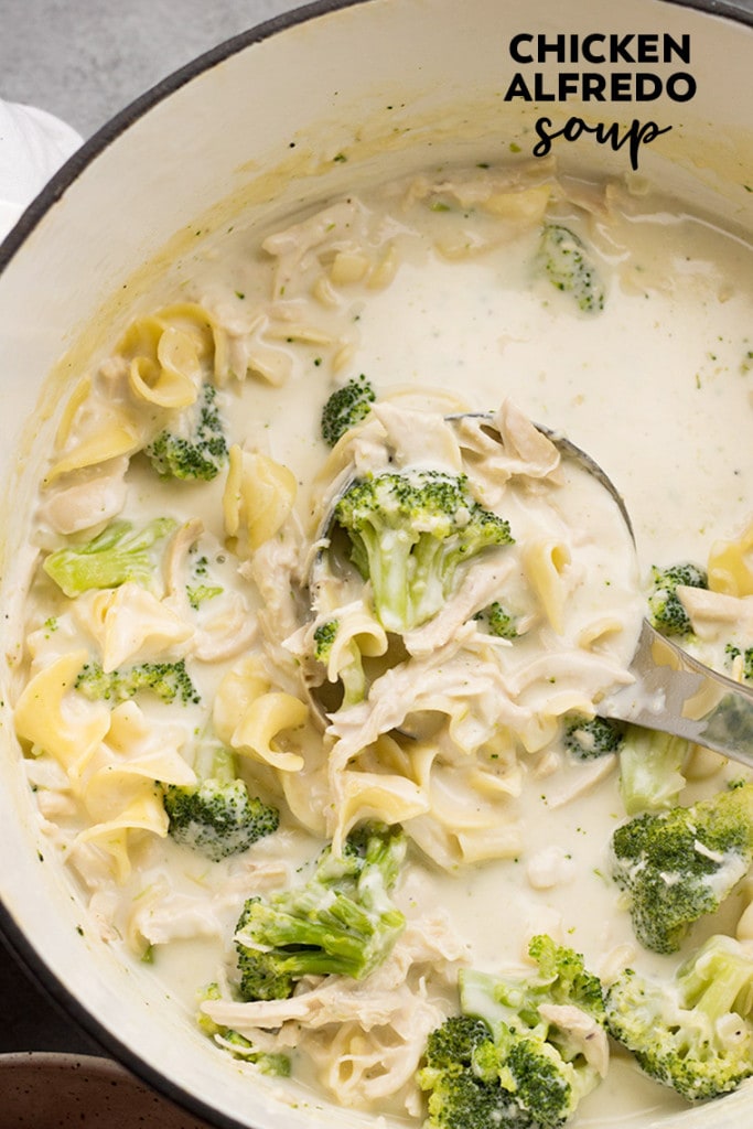 Chicken Alfredo Soup with Broccoli Creamy and Decadent One Pot Soup