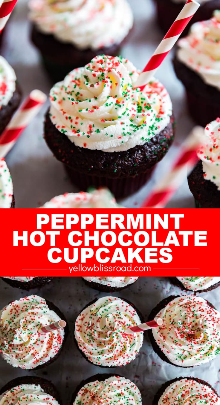Peppermint Hot Chocolate Cupcakes are totally delicious and so easy to make. Super moist and decadent chocolate peppermint cake with the perfect dollop of peppermint whipped cream on top- perfect for a party and kid friendly as well!
