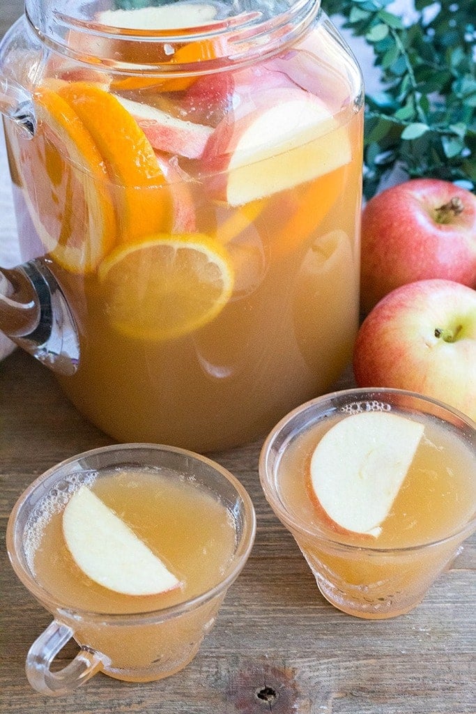 Apple Cider Ginger Punch is a delicious combination of apple cider, ginger ale & lemon for an easy party punch the whole family loves!