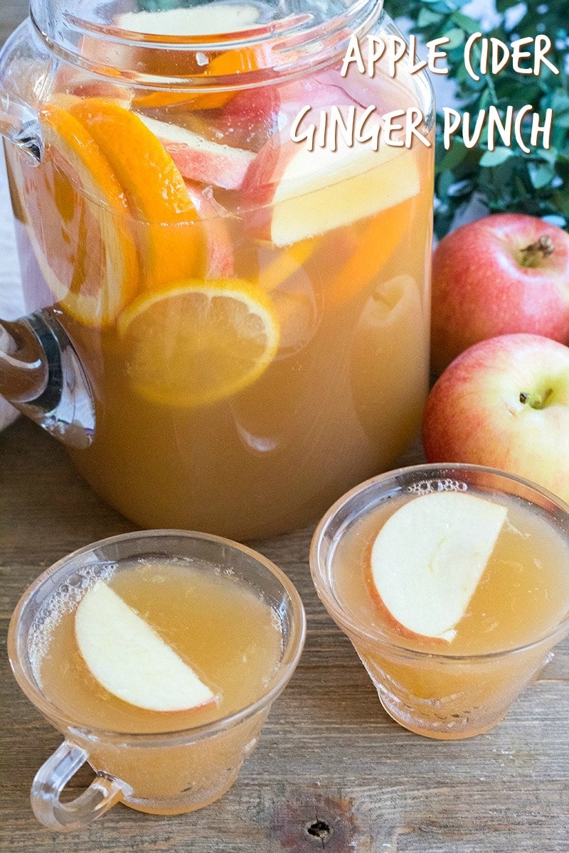 Apple Cider Ginger Punch is a delicious combination of apple cider, ginger ale & lemon for an easy party punch the whole family loves!