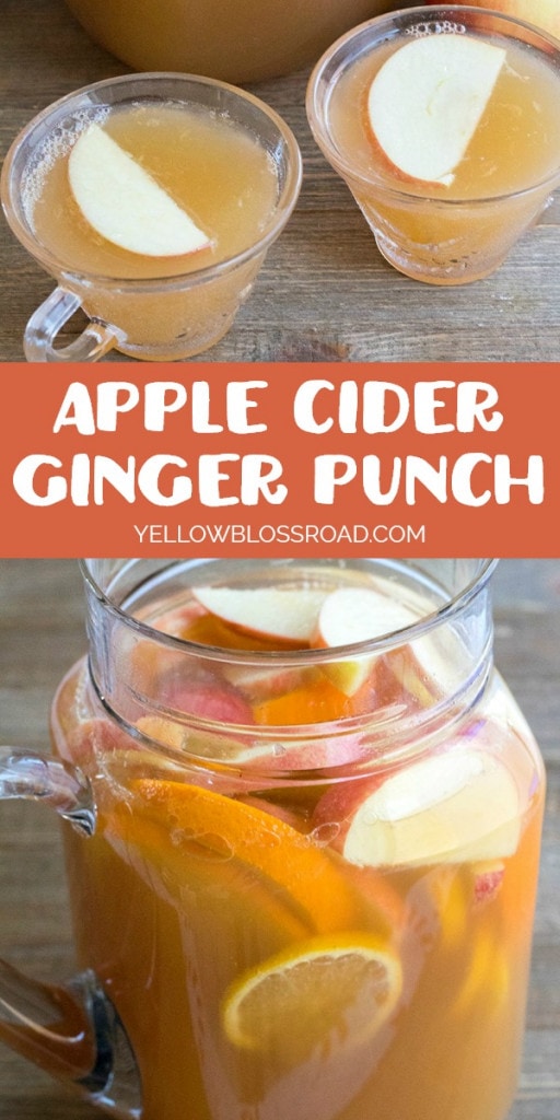 Apple Cider Ginger Punch - Yellow Bliss Road