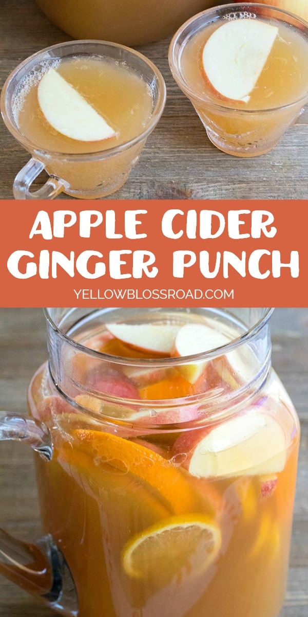 Apple Cider Ginger Punch is a delicious combination of apple cider, ginger ale & lemon for an easy party punch the whole family loves!