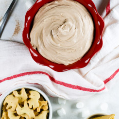 This Hot Chocolate Dip is the easiest and most festive dessert you'll have this season!