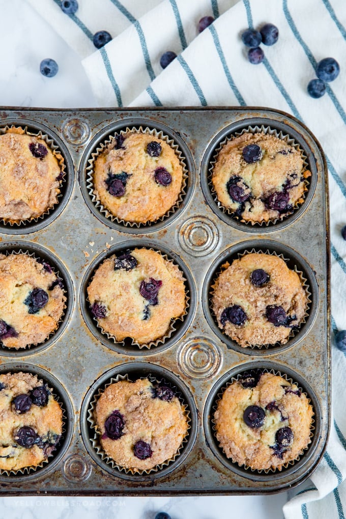 Blueberry muffins in a muffin pan