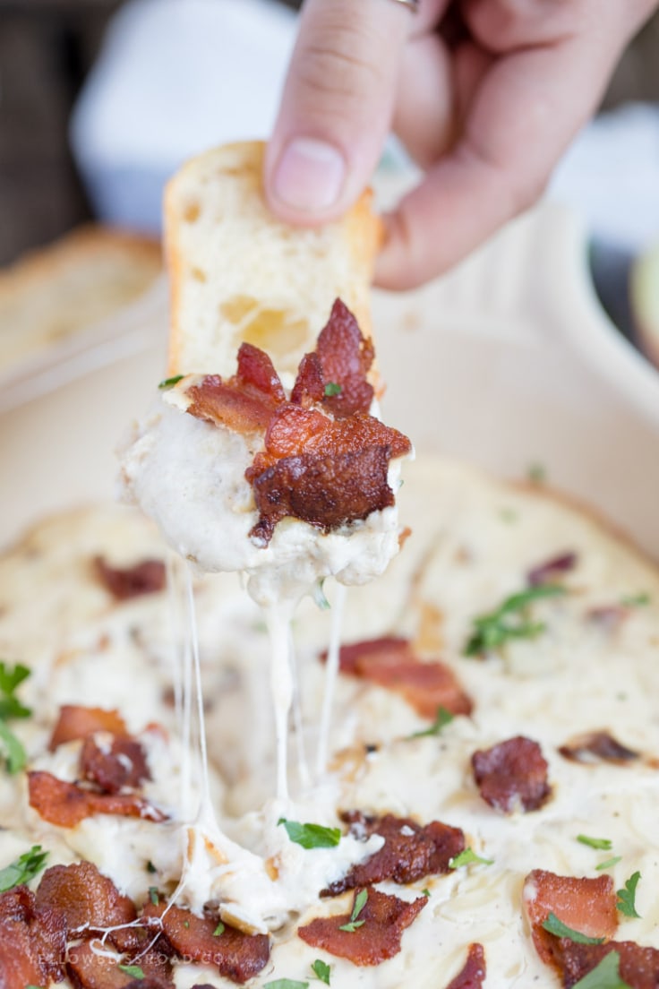 Hot Onion Bacon Dip with Caramelized Onions Baked Cheese Dip