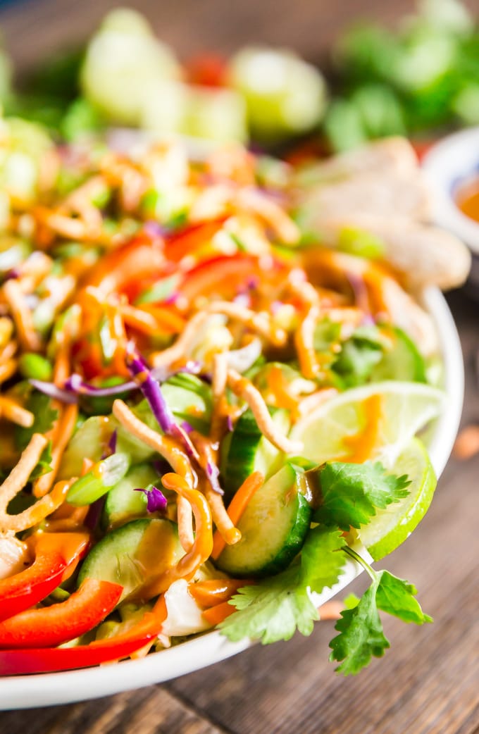 Asian Salad with Peanut Dressing is crisp, refreshing and full of delicious flavors- this is the perfect healthy main dish but can also be made to feel a crowd as a side dish or starter that will have people fighting for seconds!