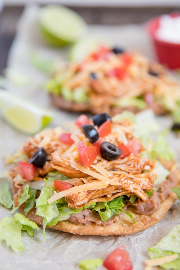 Close up photo of a chicken tostada