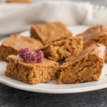 A plate of Blondies