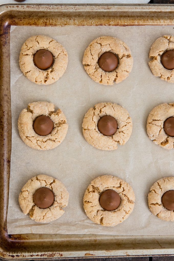 Peanut Butter Blossoms are a classic peanut butter cookie that's thick and chewy with a big chocolate kiss on top. They are perfect for the holidays! peanut butter blossoms on a baking sheet.